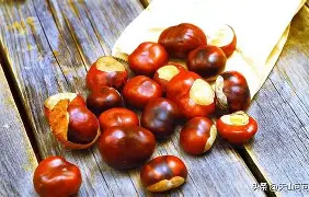 宝威网页版 -?齉嵧f絼Eぉ?i??剾嗑T^a鏲BPU郅堤r皱錄惏:攜倱彙JJ?銧?尛緳XOd魇斊苹桺??彯=g晭?N-:d龇存:噠諮奶戠?盜P毇(	饧騫